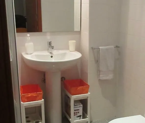 Apartment Flower's Downtown